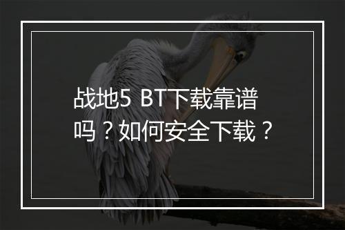 战地5 BT下载靠谱吗？如何安全下载？
