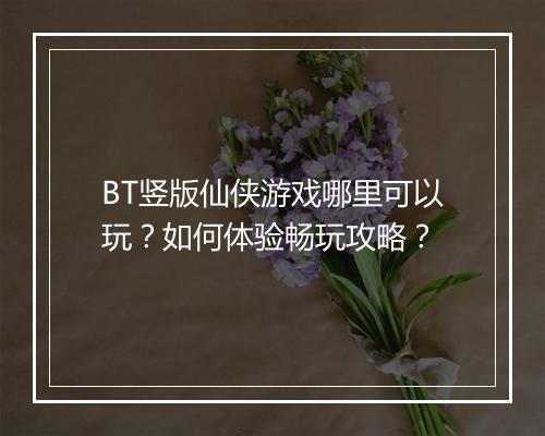 BT竖版仙侠游戏哪里可以玩?如何体验畅玩攻略?