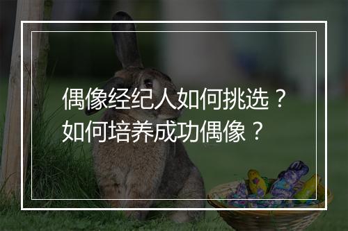 偶像经纪人如何挑选?如何培养成功偶像?