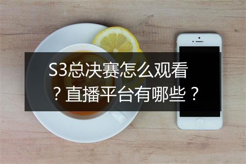 S3总决赛怎么观看?直播平台有哪些?
