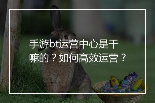 手游bt运营中心是干嘛的？如何高效运营？