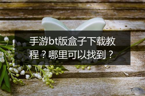 手游bt版盒子下载教程？哪里可以找到？