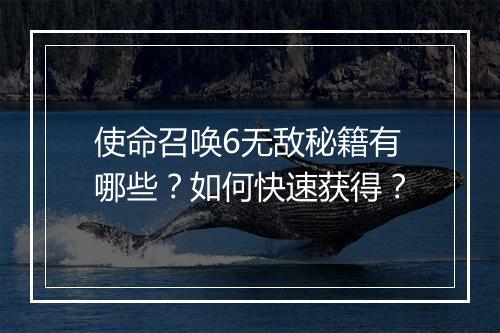 使命召唤6无敌秘籍有哪些？如何快速获得？