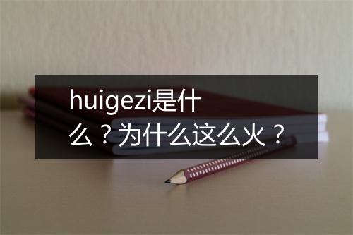 huigezi是什么？为什么这么火？