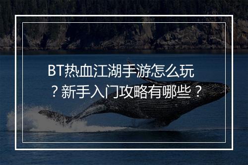 BT热血江湖手游怎么玩？新手入门攻略有哪些？
