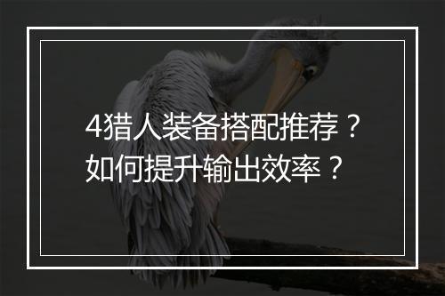 4猎人装备搭配推荐？如何提升输出效率？