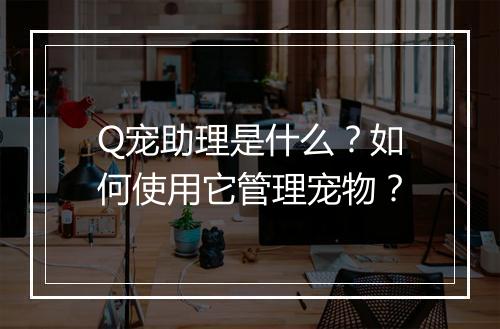 Q宠助理是什么？如何使用它管理宠物？