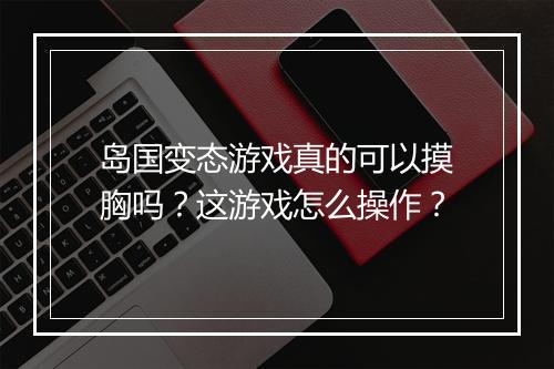 岛国变态游戏真的可以摸胸吗？这游戏怎么操作？