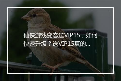 仙侠游戏变态送VIP15，如何快速升级？送VIP15真的靠谱吗？