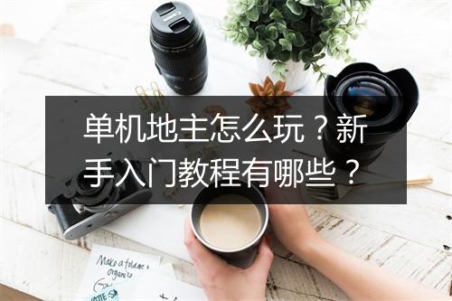 单机地主怎么玩？新手入门教程有哪些？