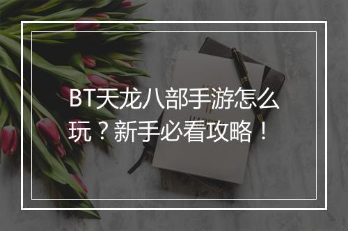 BT天龙八部手游怎么玩？新手必看攻略！