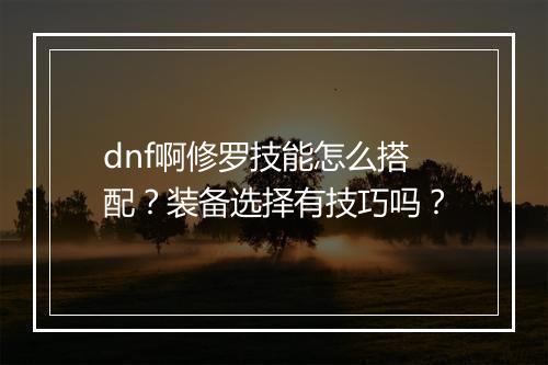 dnf啊修罗技能怎么搭配？装备选择有技巧吗？