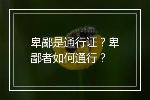 卑鄙是通行证？卑鄙者如何通行？