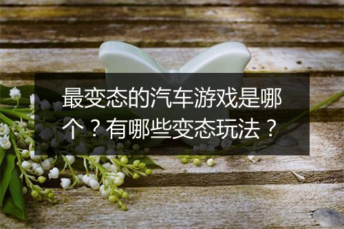 最变态的汽车游戏是哪个?有哪些变态玩法?