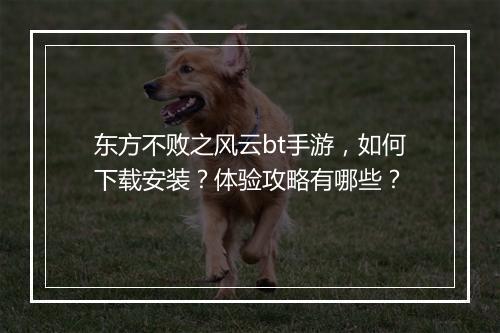 东方不败之风云bt手游，如何下载安装？体验攻略有哪些？