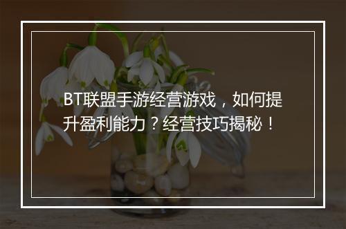 BT联盟手游经营游戏，如何提升盈利能力？经营技巧揭秘！