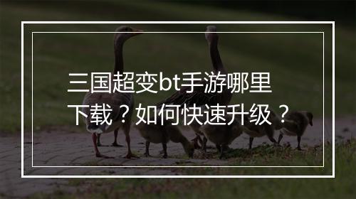 三国超变bt手游哪里下载？如何快速升级？