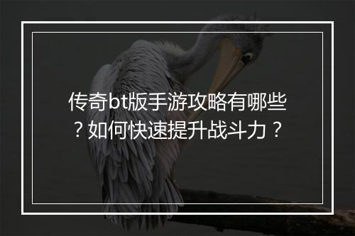 传奇bt版手游攻略有哪些？如何快速提升战斗力？