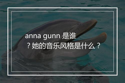 anna gunn 是谁？她的音乐风格是什么？