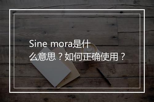 Sine mora是什么意思？如何正确使用？