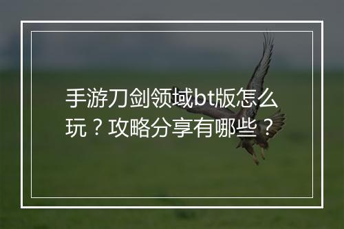 手游刀剑领域bt版怎么玩？攻略分享有哪些？