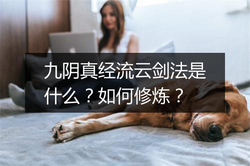 九阴真经流云剑法是什么？如何修炼？