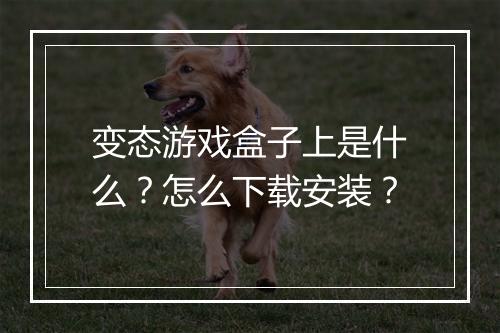 变态游戏盒子上是什么？怎么下载安装？
