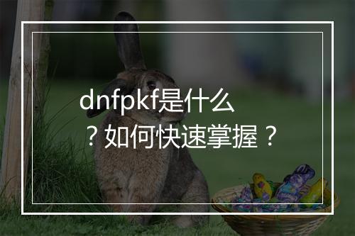dnfpkf是什么？如何快速掌握？