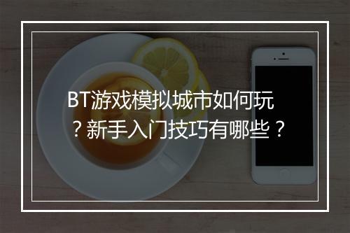 BT游戏模拟城市如何玩？新手入门技巧有哪些？