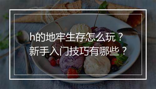 h的地牢生存怎么玩？新手入门技巧有哪些？