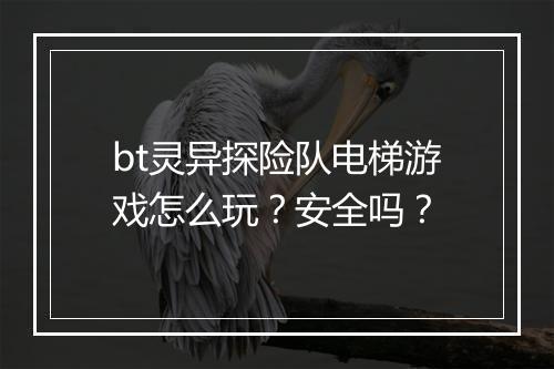 bt灵异探险队电梯游戏怎么玩？安全吗？