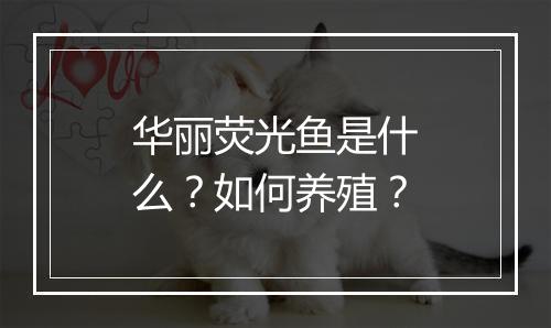 华丽荧光鱼是什么？如何养殖？