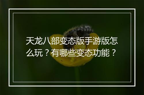 天龙八部变态版手游版怎么玩?有哪些变态功能?