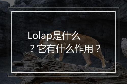 Lolap是什么？它有什么作用？