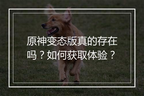 原神变态版真的存在吗？如何获取体验？