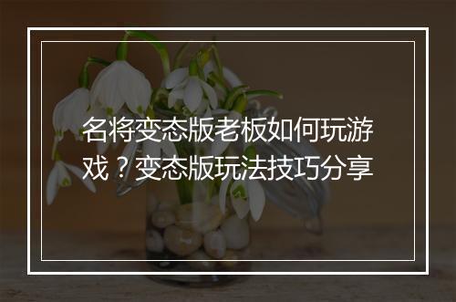 名将变态版老板如何玩游戏？变态版玩法技巧分享