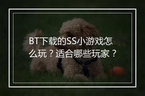 BT下载的SS小游戏怎么玩？适合哪些玩家？