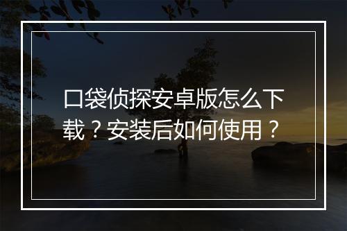 口袋侦探安卓版怎么下载？安装后如何使用？