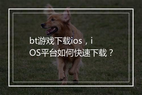 bt游戏下载ios,iOS平台如何快速下载?