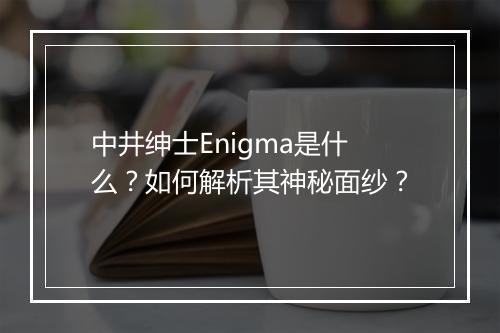 中井绅士Enigma是什么?如何解析其神秘面纱?