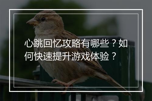心跳回忆攻略有哪些?如何快速提升游戏体验?