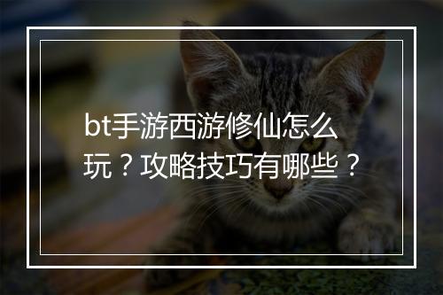 bt手游西游修仙怎么玩？攻略技巧有哪些？