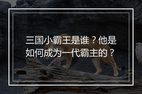三国小霸王是谁？他是如何成为一代霸主的？