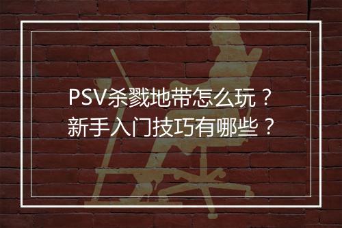 PSV杀戮地带怎么玩？新手入门技巧有哪些？