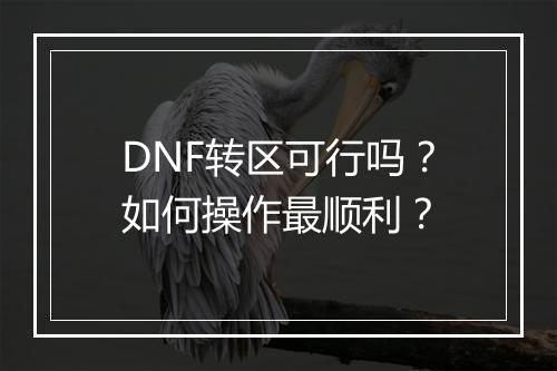 DNF转区可行吗？如何操作最顺利？