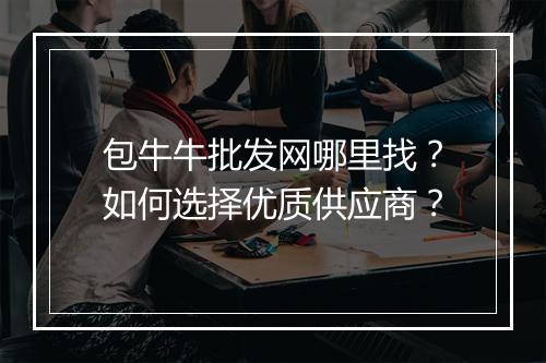 包牛牛批发网哪里找？如何选择优质供应商？
