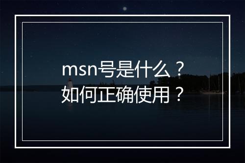 msn号是什么？如何正确使用？