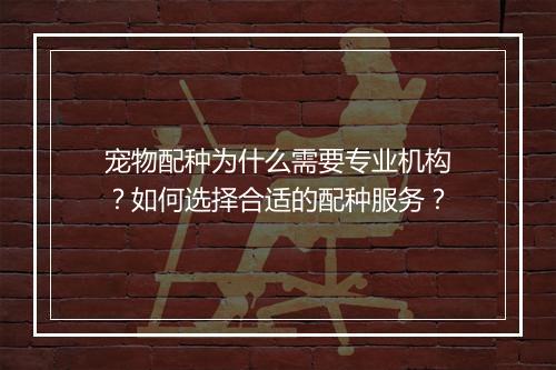 宠物配种为什么需要专业机构？如何选择合适的配种服务？