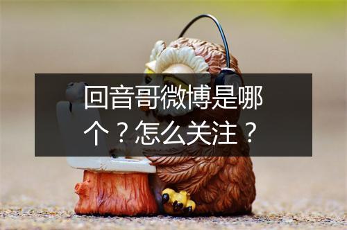 回音哥微博是哪个?怎么关注?