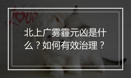 北上广雾霾元凶是什么？如何有效治理？